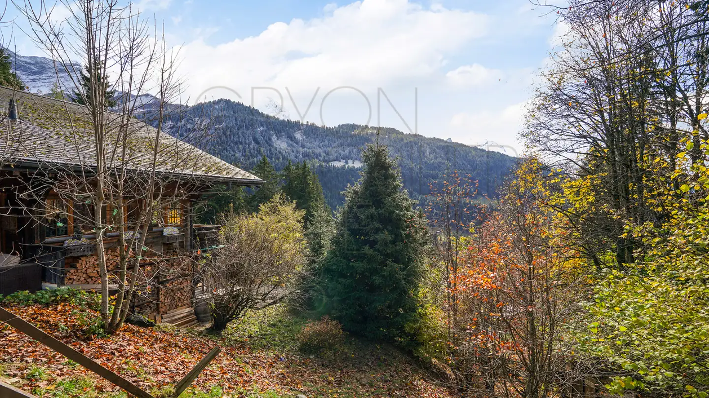 Chalet kaufen - Chemin De La Traverse 38, 1882 Gryon - Foto 2