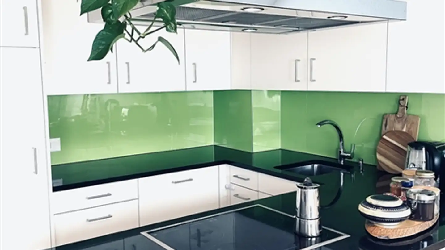 Furnished apartment for rent - 3006 Bern - Photo 3