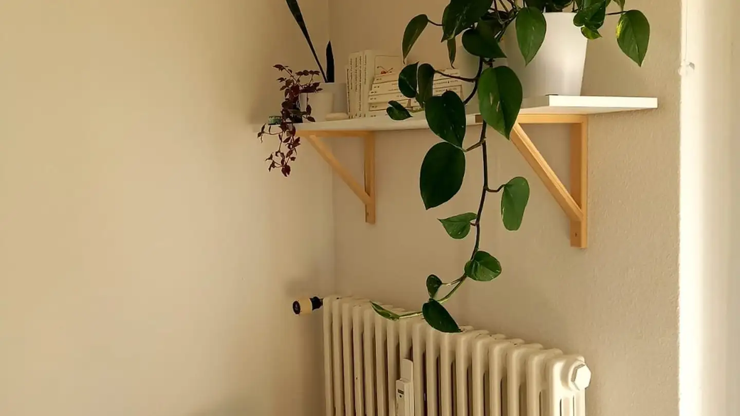 Stanza singola in affitto - Steigstrasse 3, 8280 Kreuzlingen - Photo 4