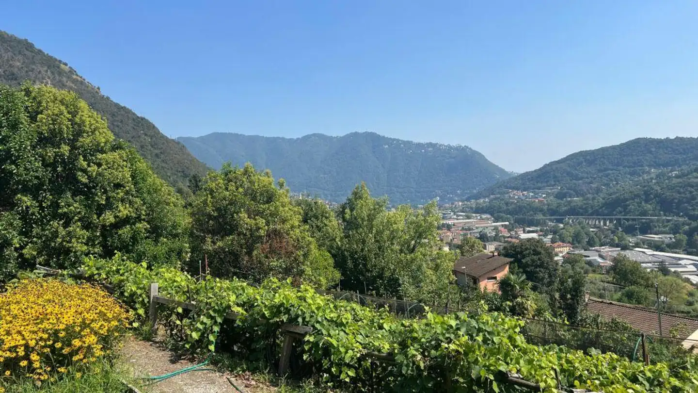 Terrain constructible à vendre - 6833 Vacallo