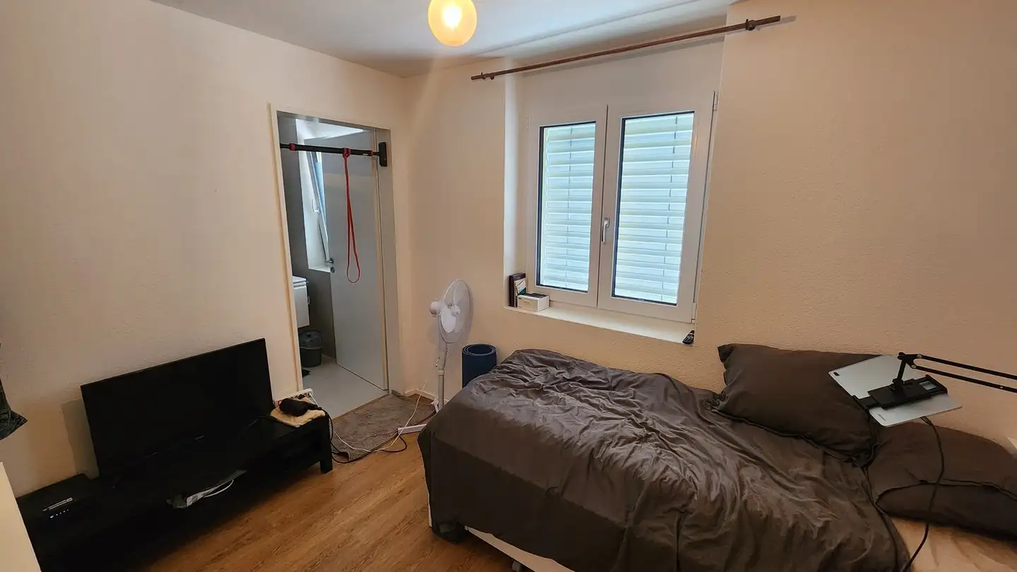 Appartamento in affitto - Friesstrasse 26, 8050 Zürich - Foto 3
