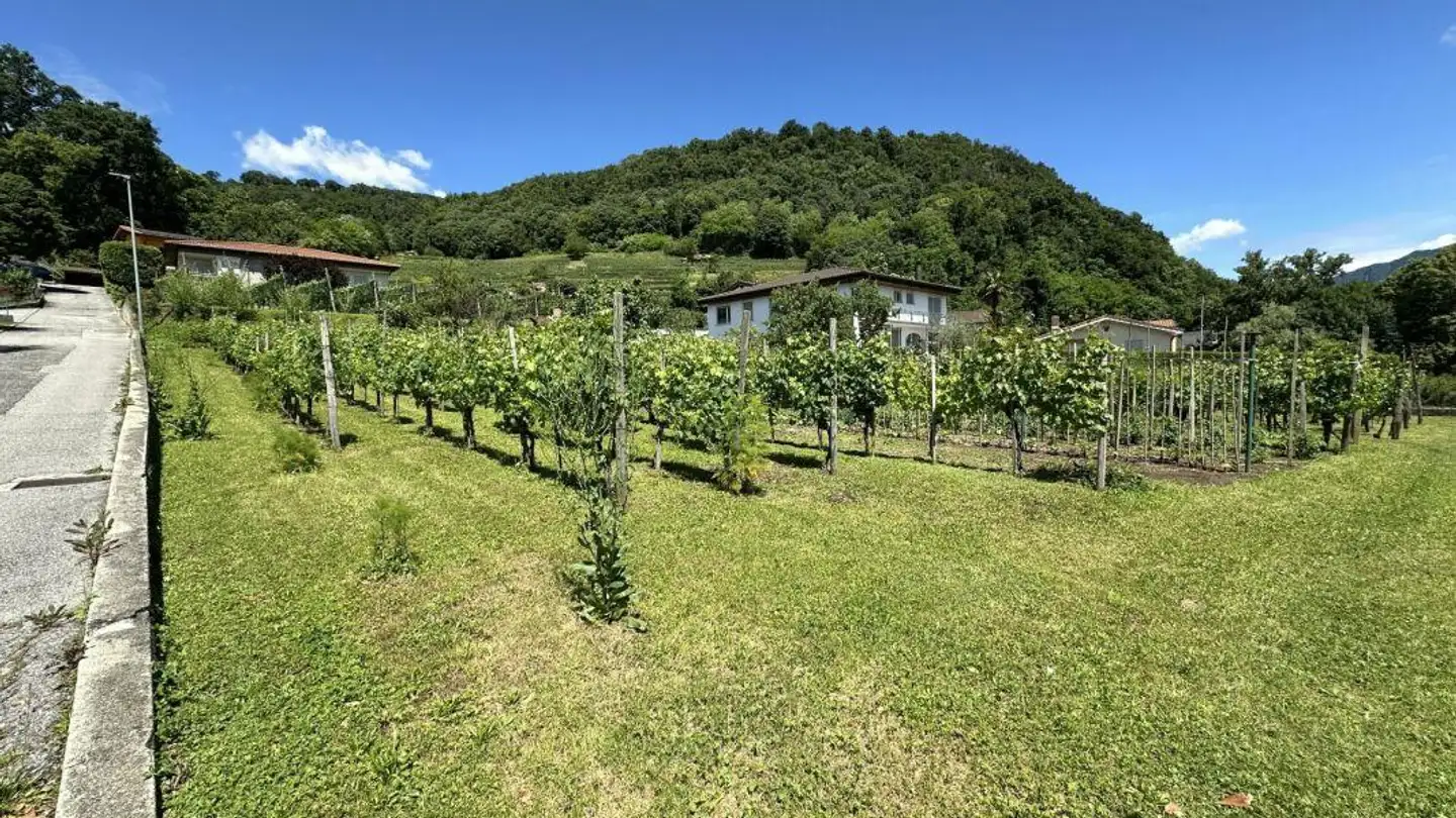 Terrain industriel à vendre - 6850 Mendrisio