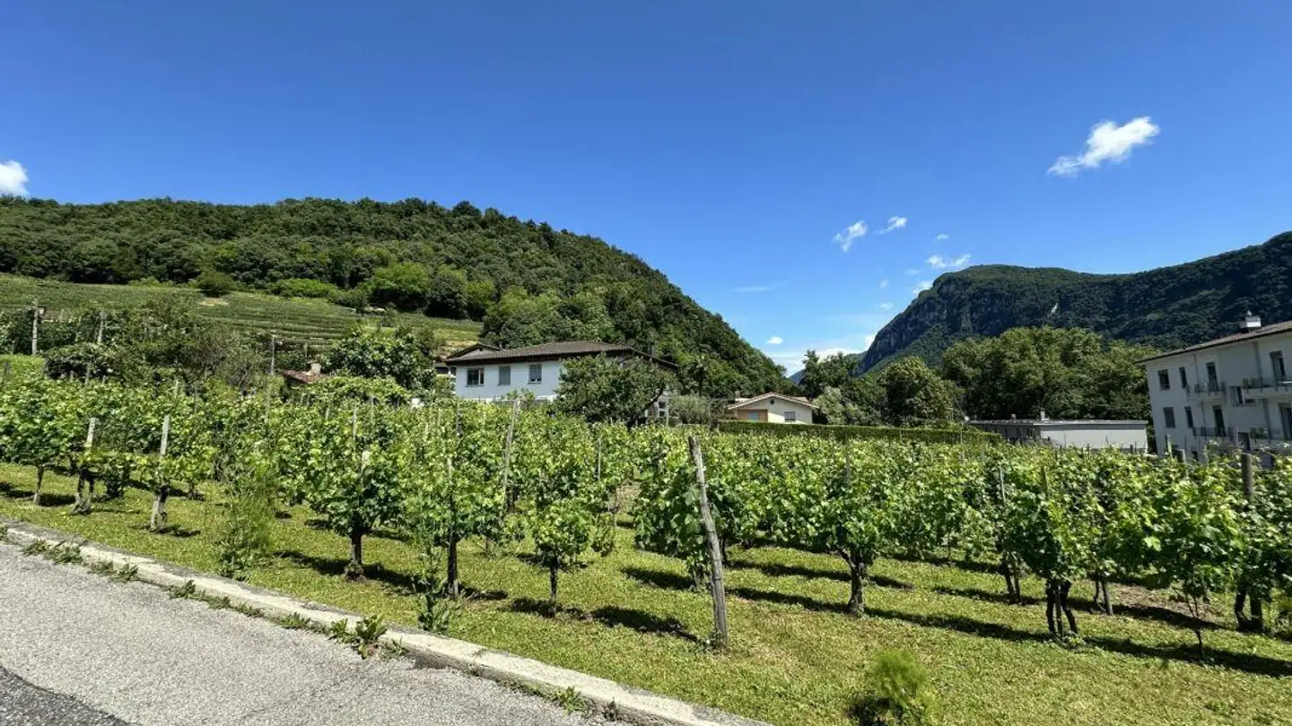 Terrain industriel à vendre - 6850 Mendrisio - Photo 3