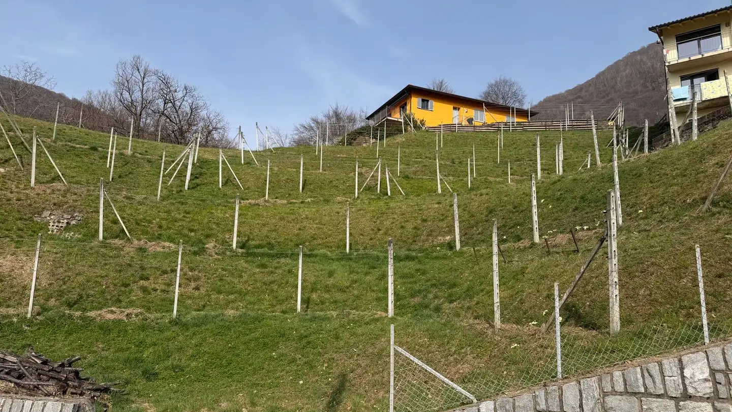 Constructible plot for sale - Via Camoghè, 6809 Medeglia