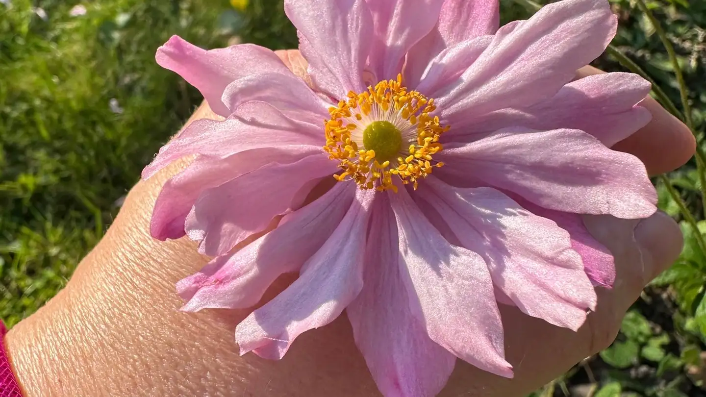 Single room for rent - 4500 Solothurn