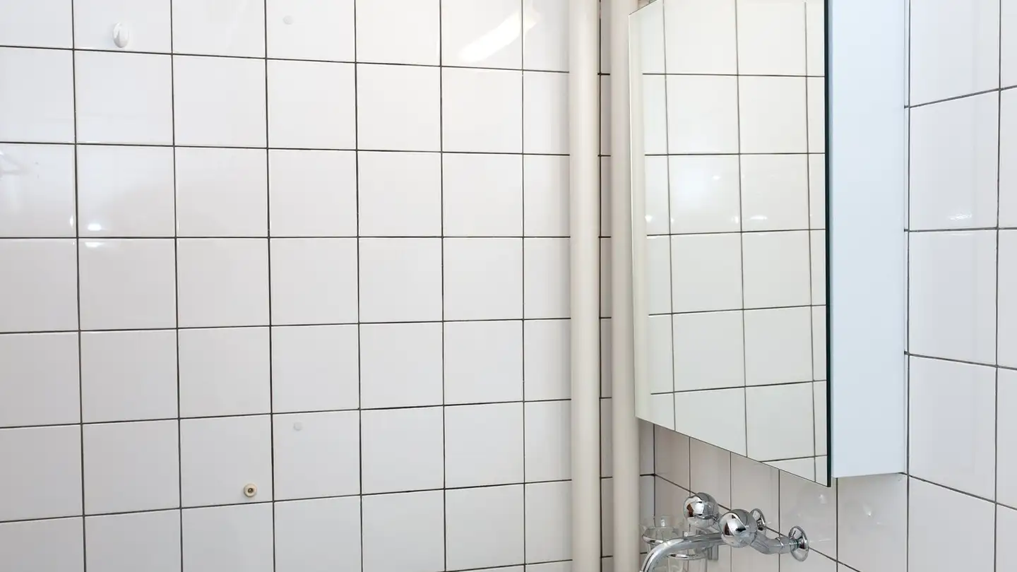 Wohnung mieten - Rudolfstrasse 24, 4054 Basel - Foto 4