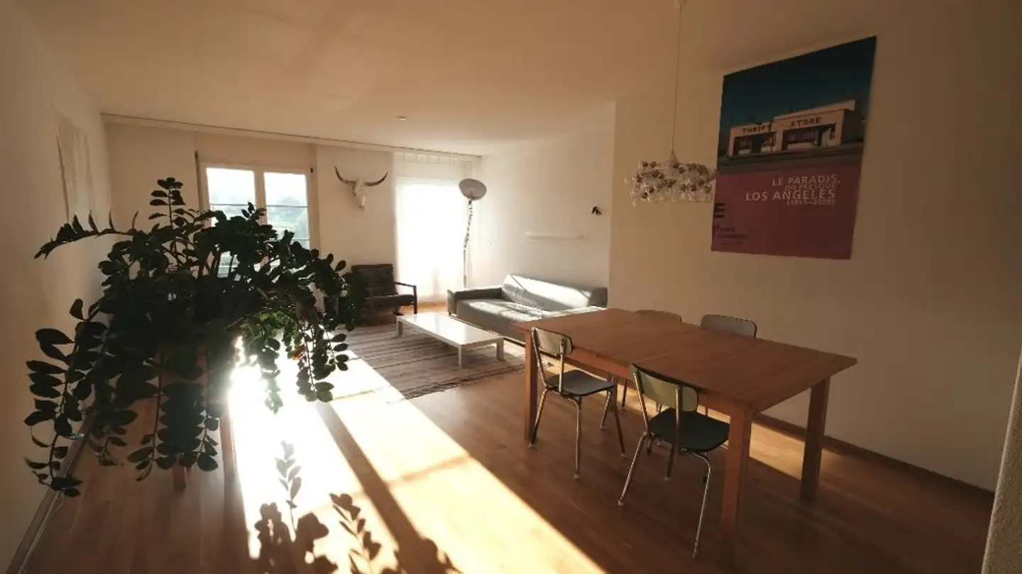 Appartamento in affitto - Rue Des Terreaux 56, 1350 Orbe