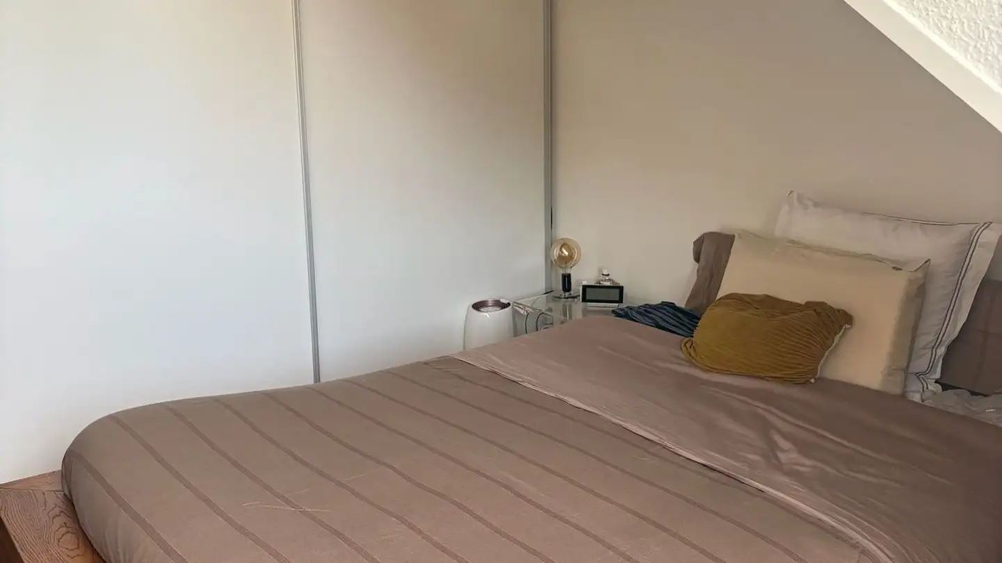 Attico in affitto - Rue Du 31-Décembre 69, 1207 Genève - Foto 4