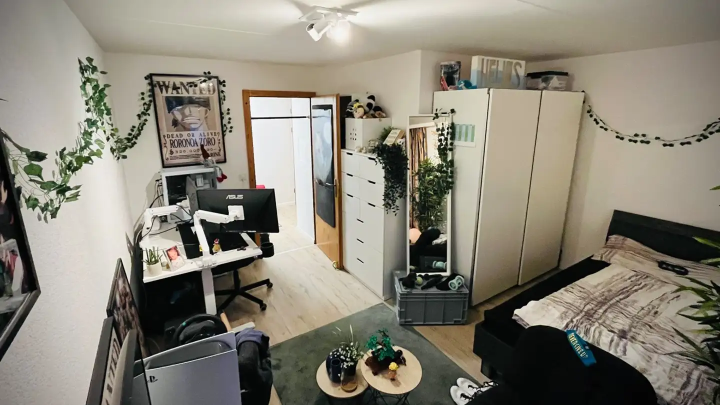 Appartamento in affitto - Sandgasse 15, 5734 Reinach AG - Foto 4