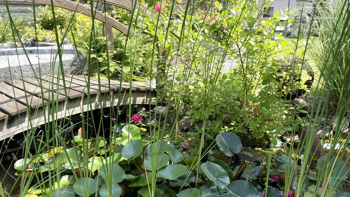 Casa singola in vendita - Blumenstrasse 12, 4900 Langenthal - Photo 4