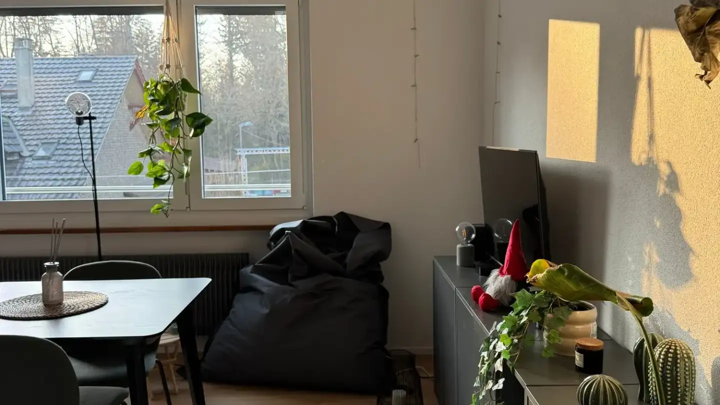 Wohnung mieten - Buchenweg 24, 3012 Bern