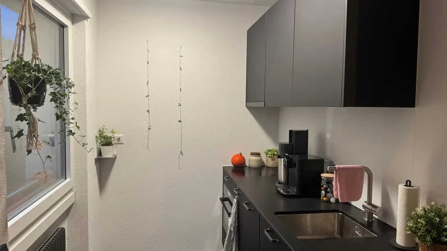 Appartamento in affitto - Buchenweg 24, 3012 Bern - Foto 4