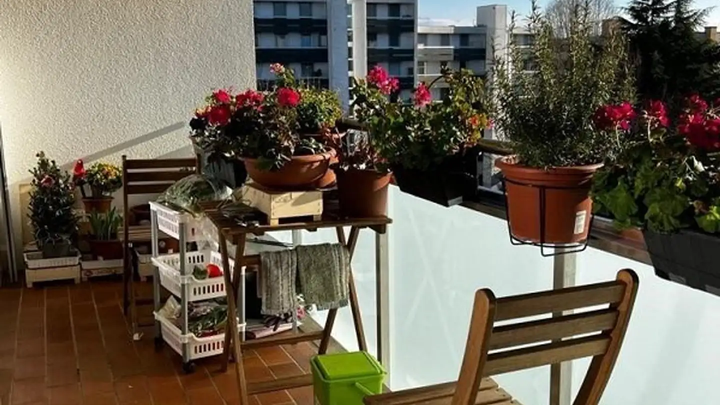 Wohnung mieten - Avenue Du Censuy 8, 1020 Renens VD - Foto 4