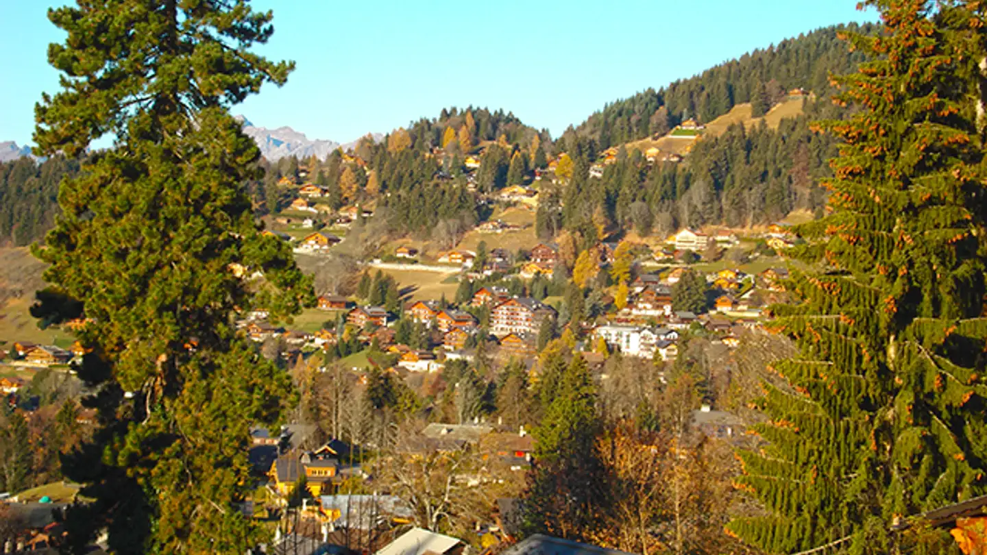 Chalet in vendita - 1884 Villars-sur-Ollon - Foto 3