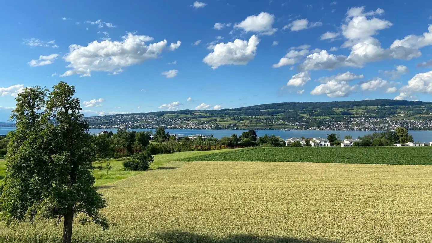 Appartement à louer - Neuhofstrasse 8, 8810 Horgen - Photo 3