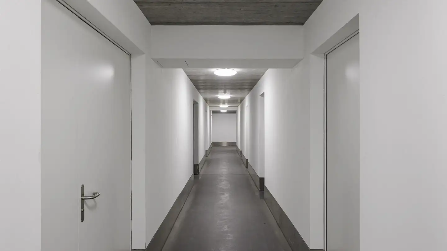 Commercial for rent - 9552 Bronschhofen