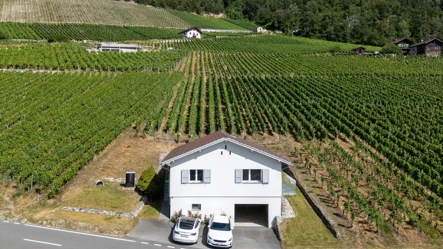 Single house for sale - Route Du Mont-Noble 38, 1967 Bramois - Photo 2