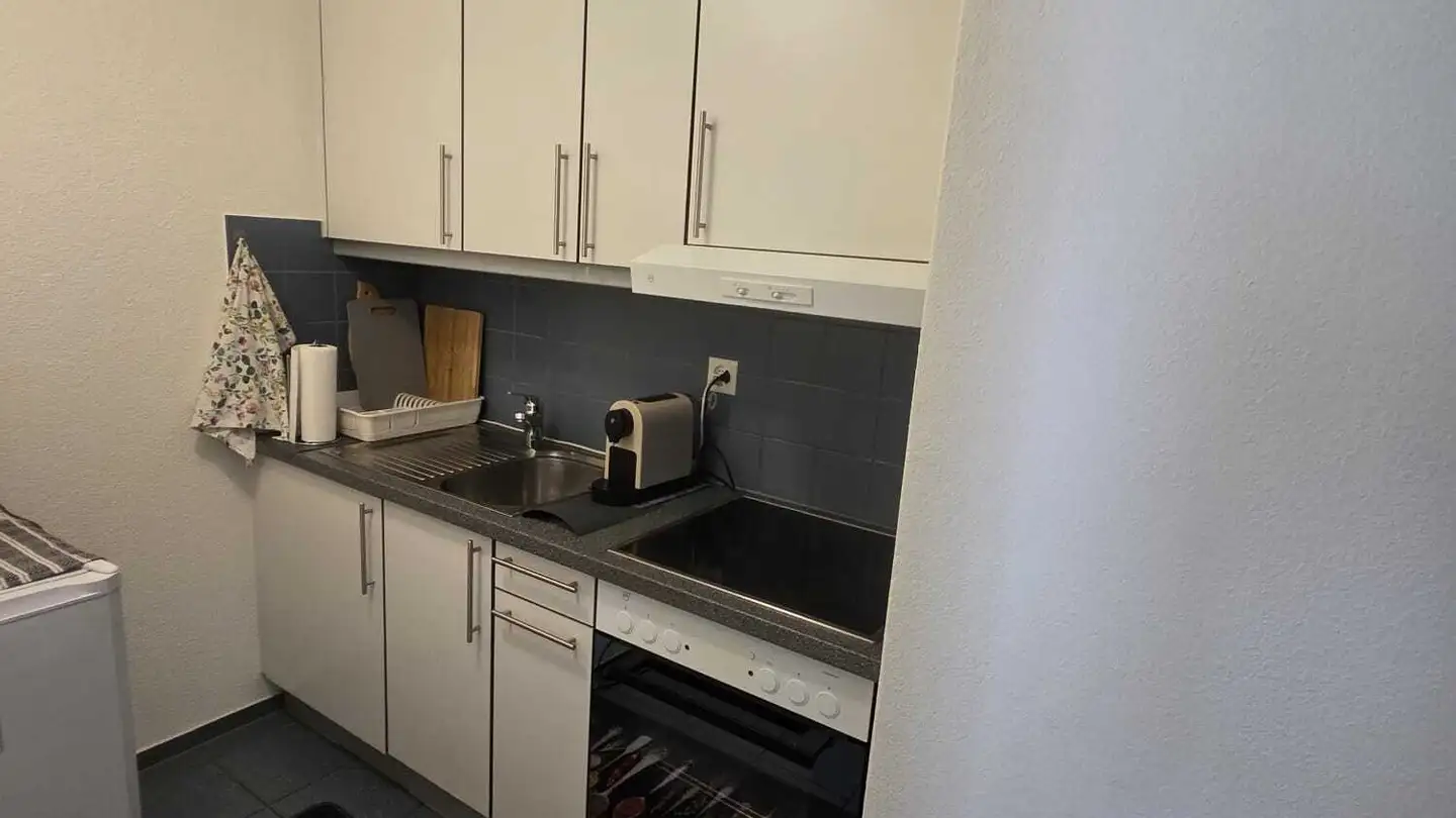 Appartamento in affitto - Sagenbachmatt, 6280 Hochdorf - Foto 3