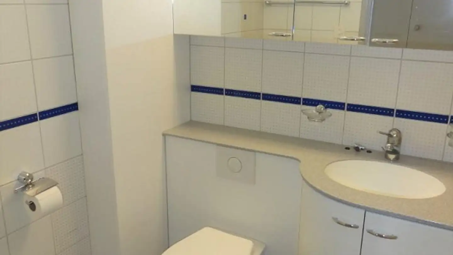 Apartment for rent - Stüdliackerstrasse 11, 8207 Schaffhausen - Photo 2