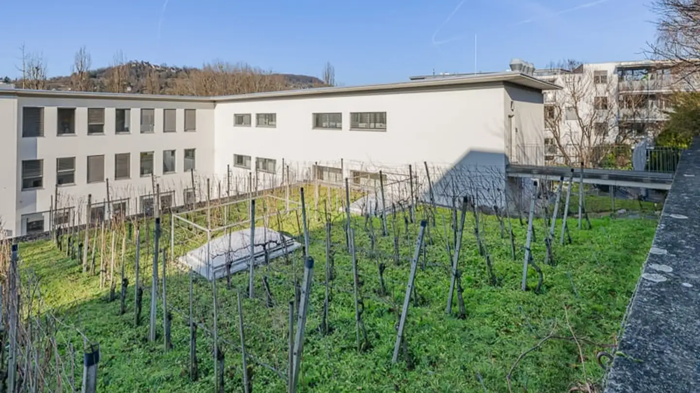 Office space for rent - 4125 Riehen - Photo 2