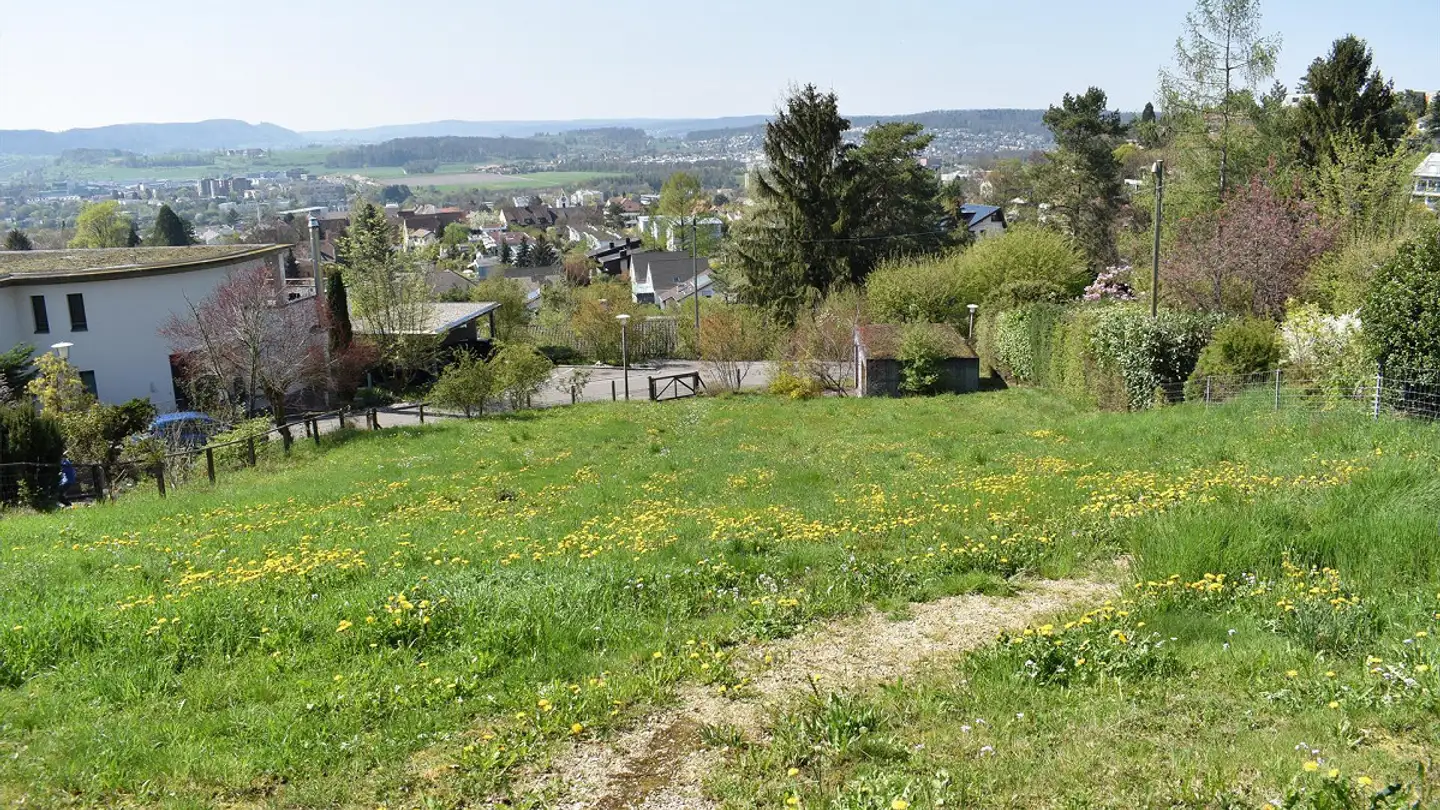 Terreno edificabile in vendita - 4143 Dornach - Photo 3