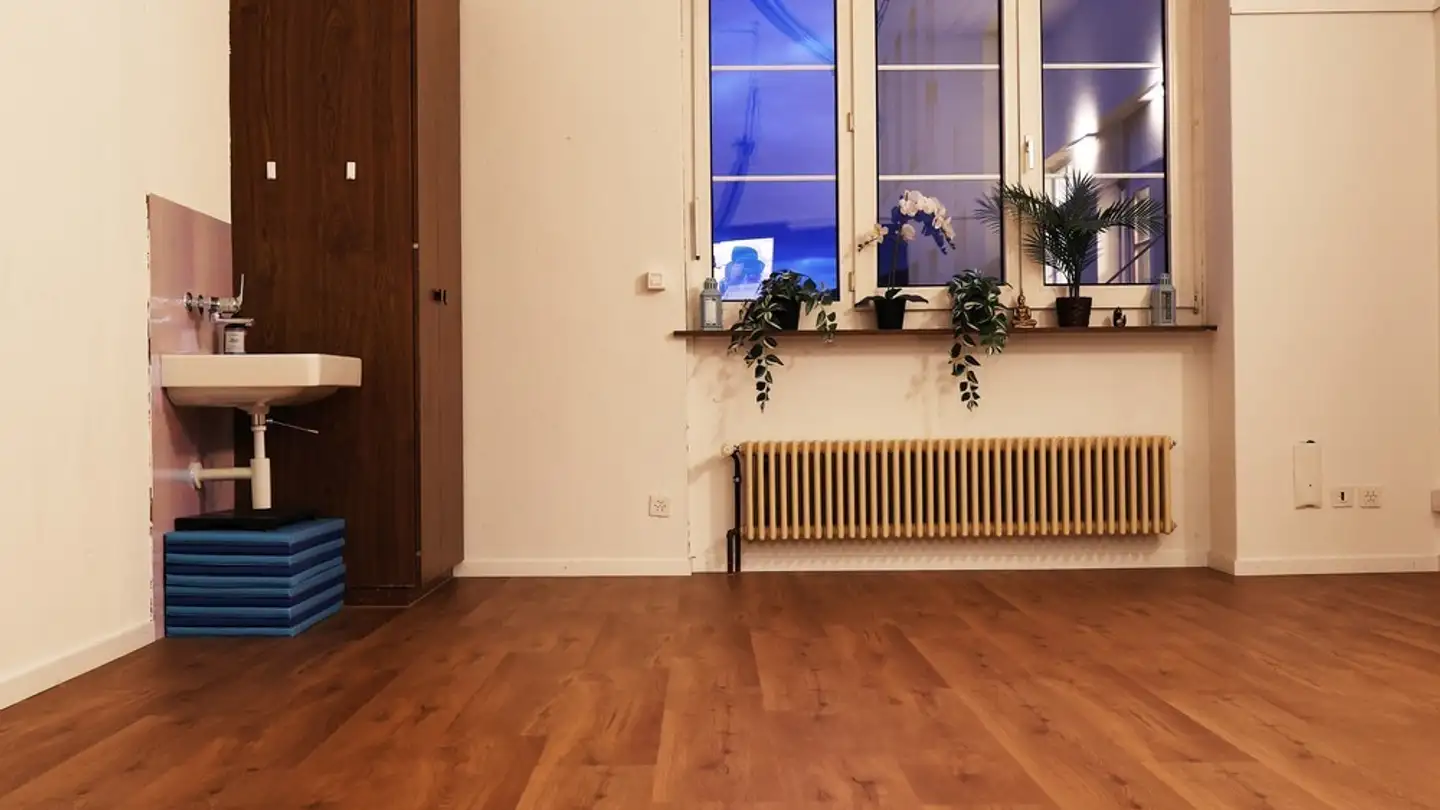 Commerciale in affitto - Alte Affolterstrasse 1, 8909 Zwillikon - Foto 2