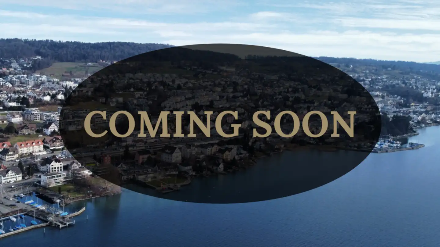 Duplex in vendita - 8708 Männedorf