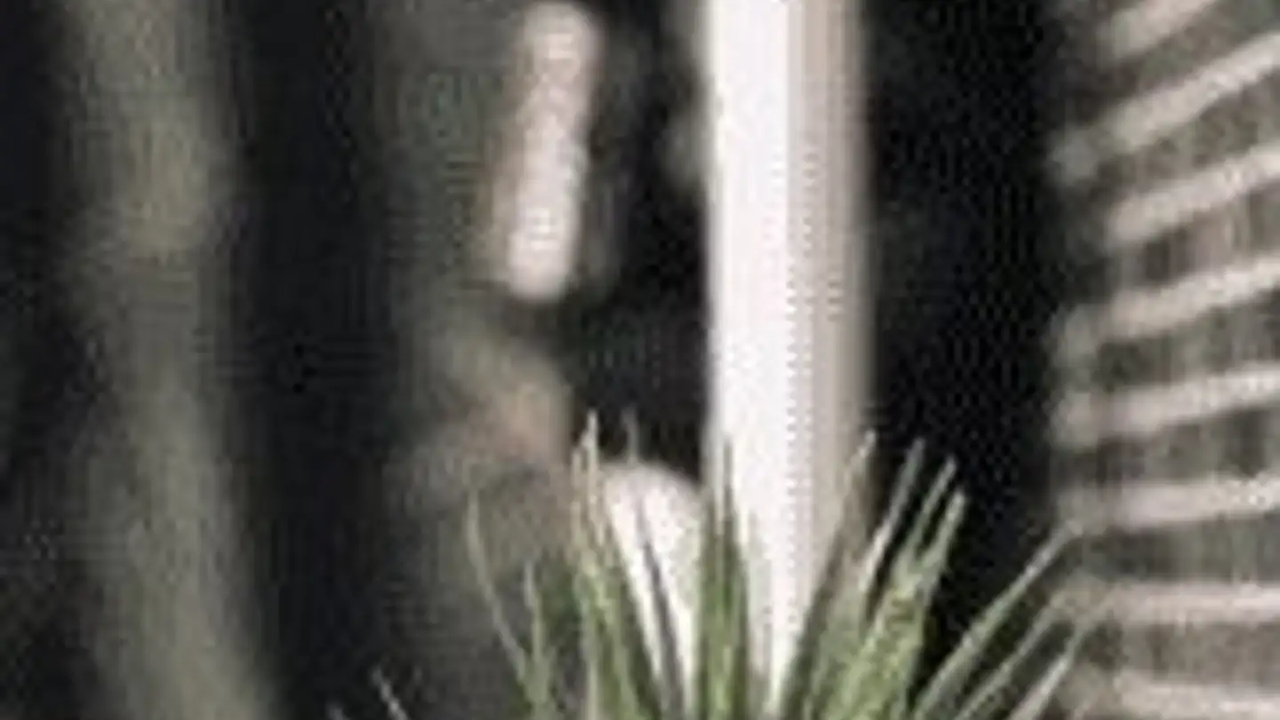 Appartement à louer - Brühlgasse 23, 9000 St. Gallen - Photo 3