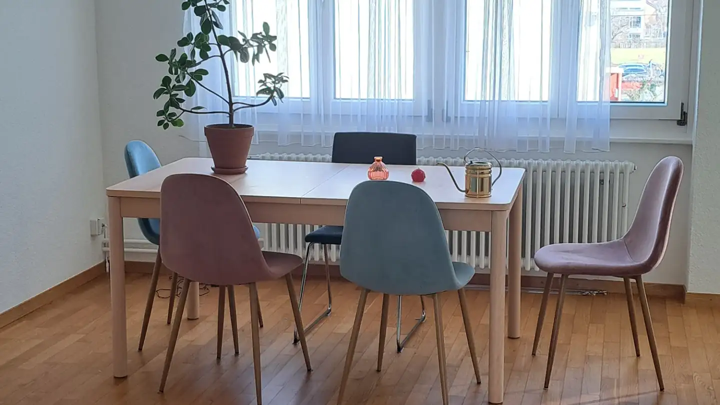 Stanza singola in affitto - Birseckstrasse 25, 4142 Münchenstein