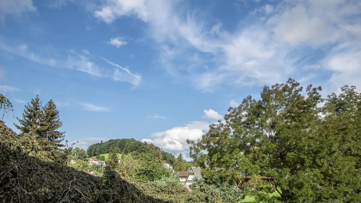 Appartement à louer - Solitüdenstrasse 15, 9012 St. Gallen - Photo 3