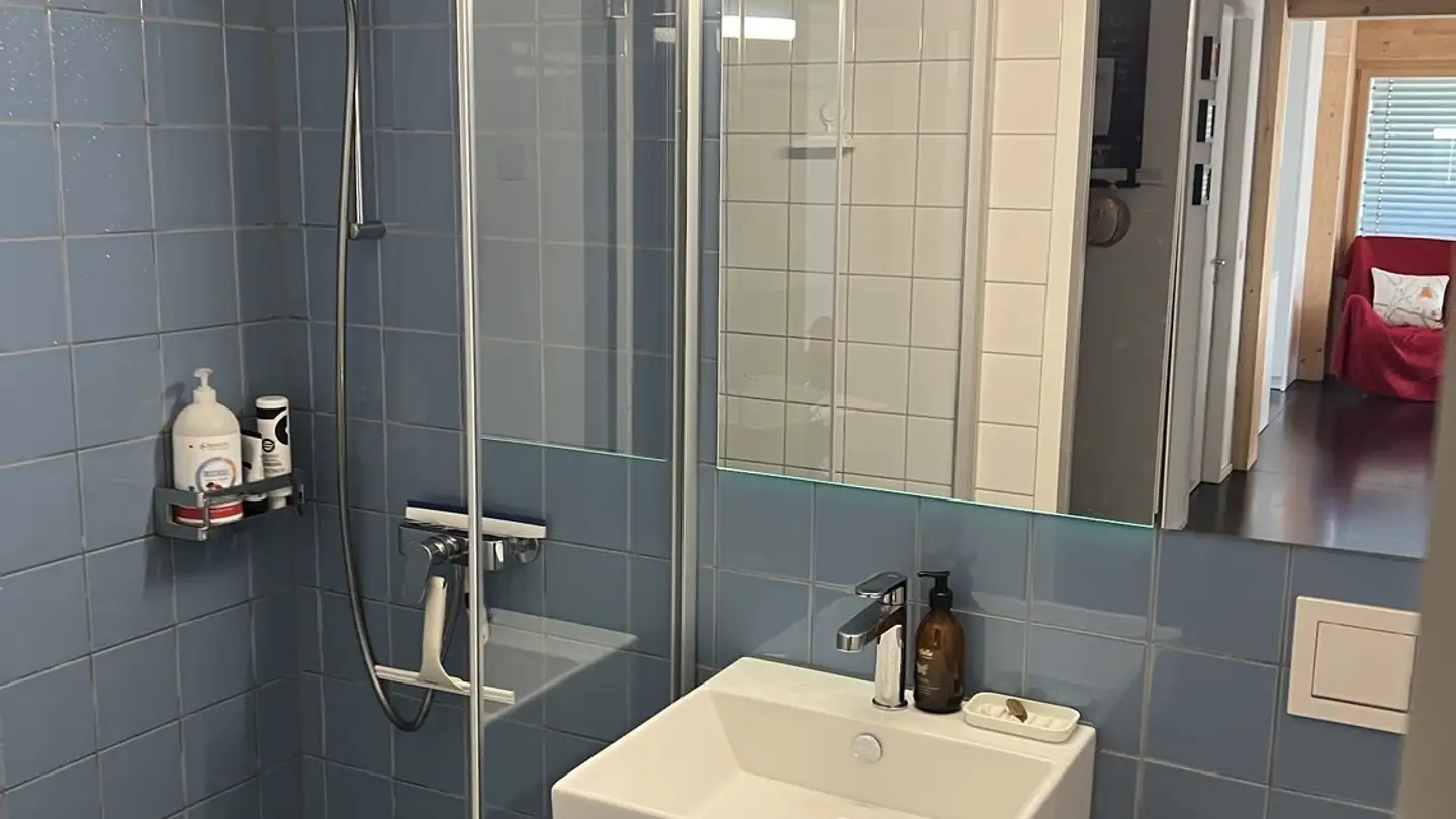 Apartment for rent - 8903 Birmensdorf ZH - Photo 4