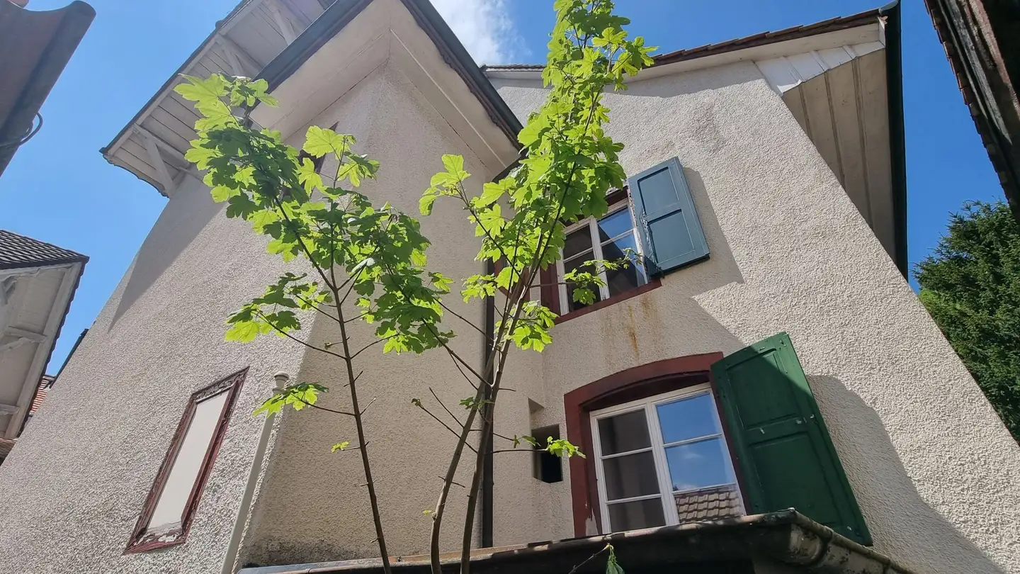 Maison individuelle à vendre - Hauptstrasse 77, 4434 Hölstein - Photo 4