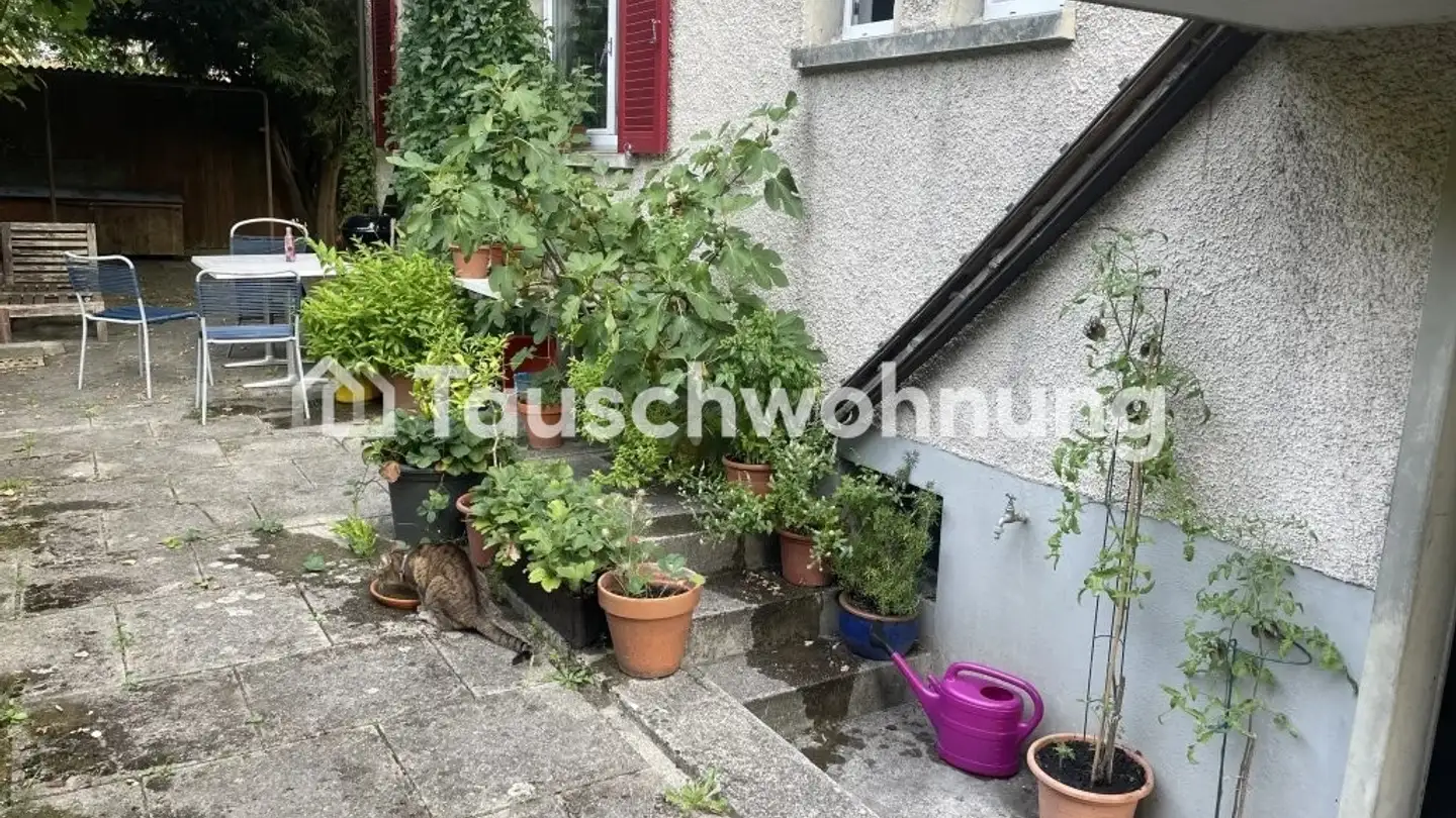 Wohnung mieten - 8406 Winterthur