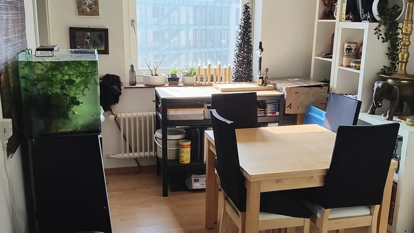 Appartement à louer - Fellenbergstrasse 166, 8047 Zürich - Photo 4