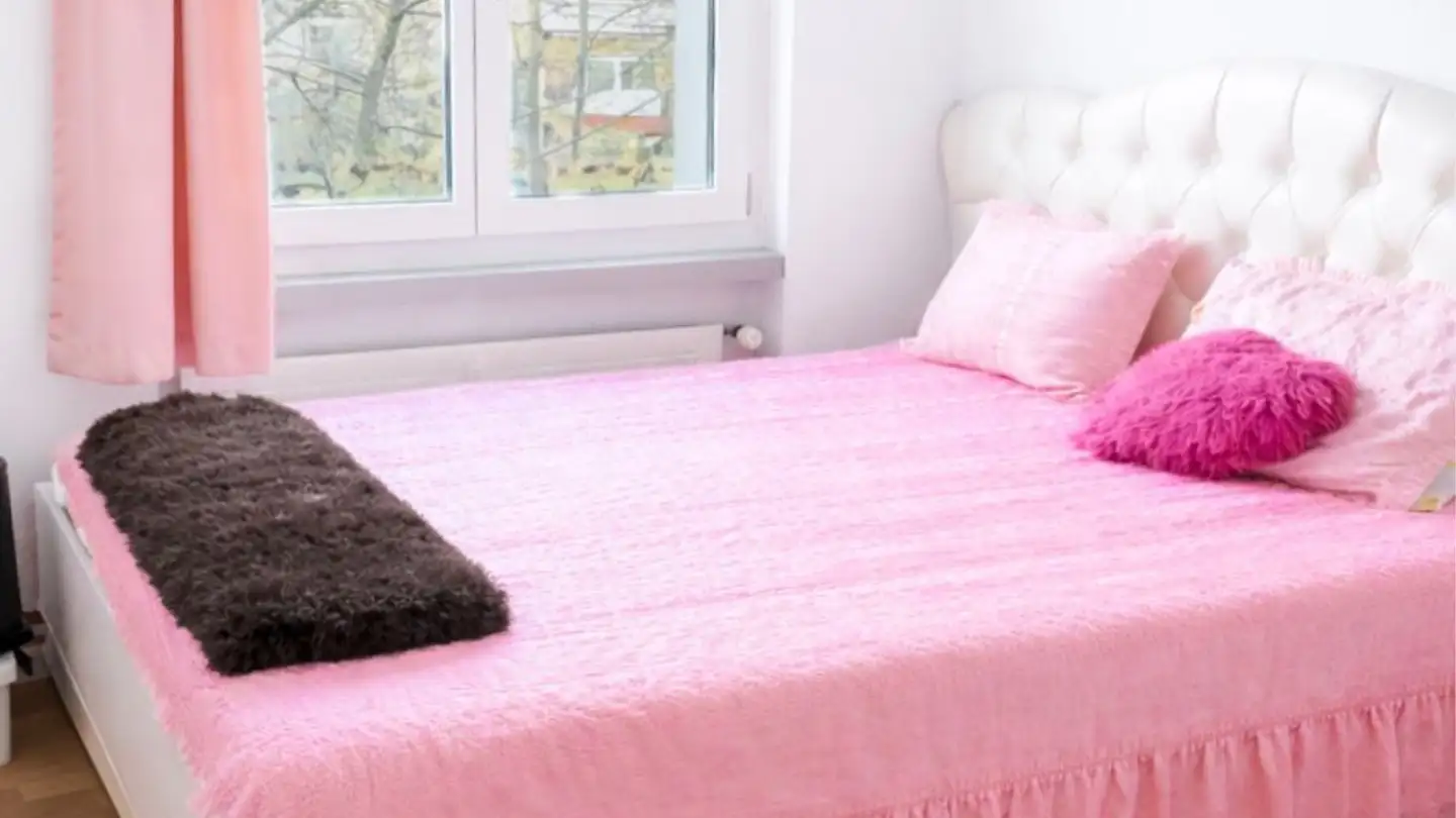 Appartement à vendre - Wuhrstrasse 5, 8580 Amriswil - Photo 4