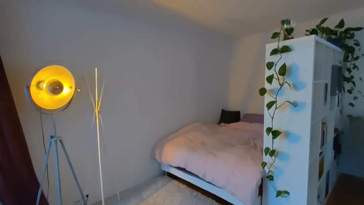 Möblierte Wohnung mieten - 5000 Aarau