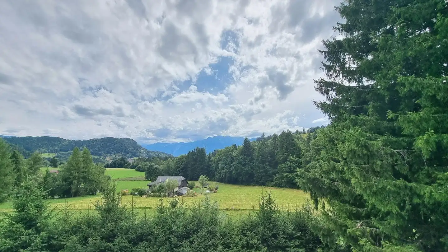 Chalet for sale - 1832 Villard-sur-Chamby - Photo 3