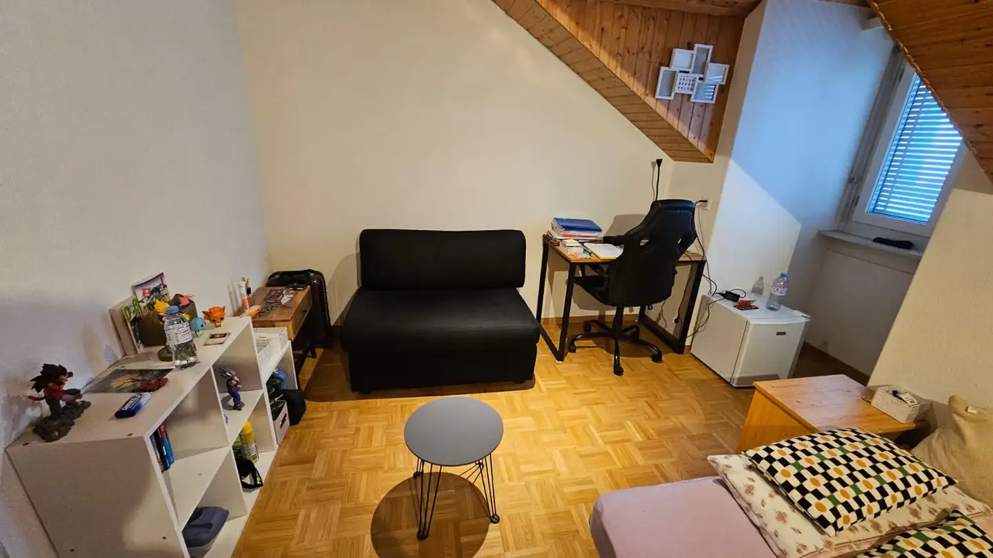 Single room for rent - Rue Du Criblet, 1700 Fribourg