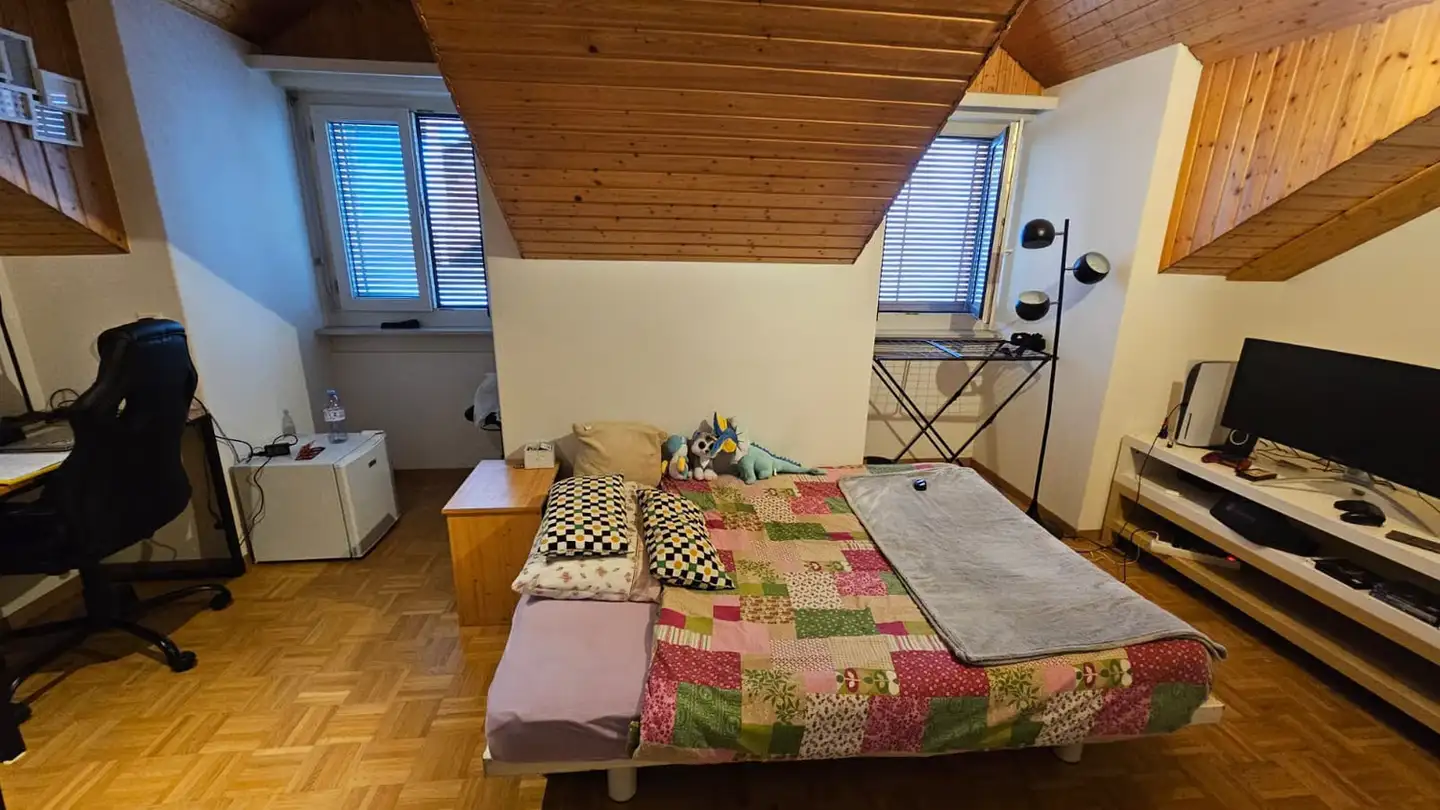 Single room for rent - Rue Du Criblet, 1700 Fribourg - Photo 2