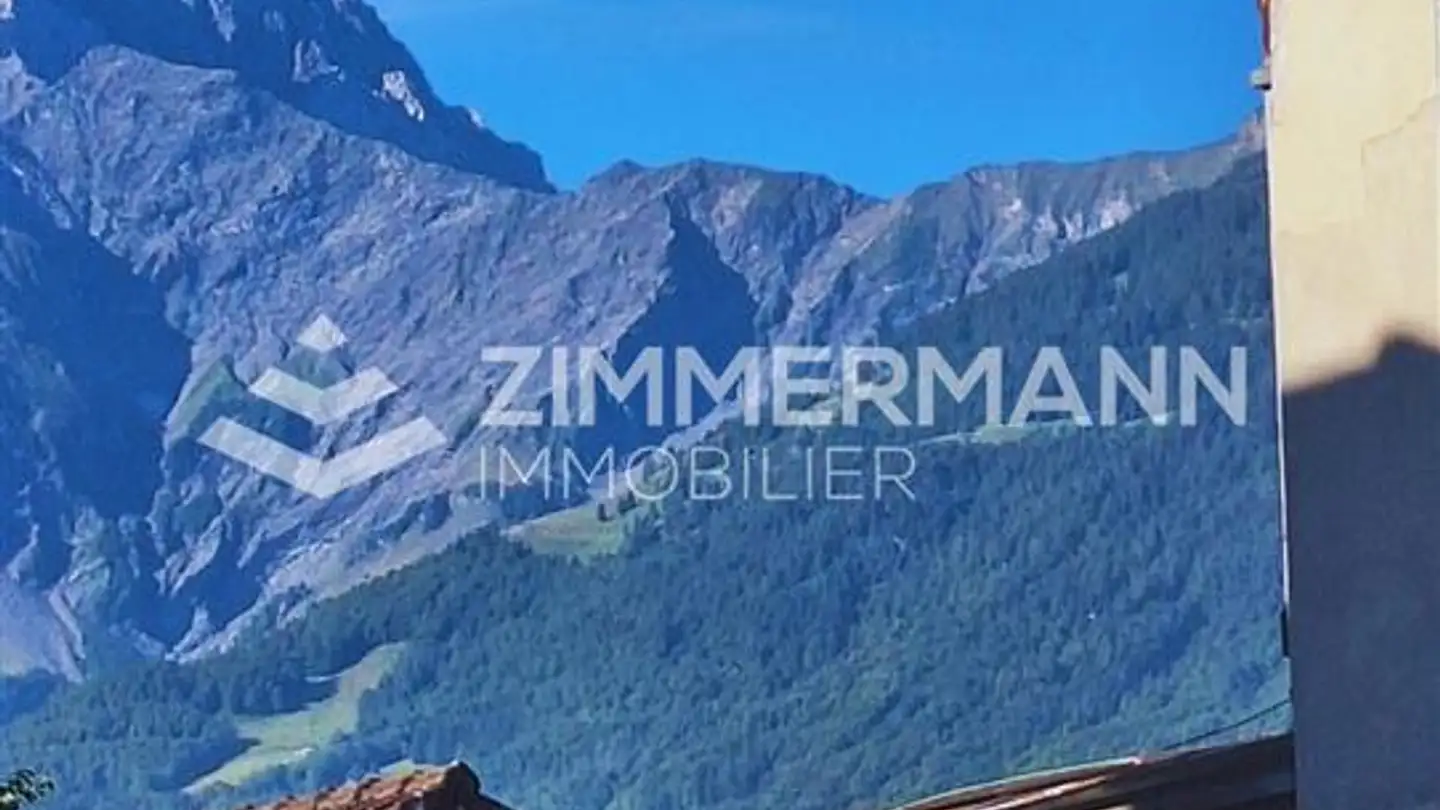 Magasin à louer - Rue Centrale, 1880 Bex - Photo 2