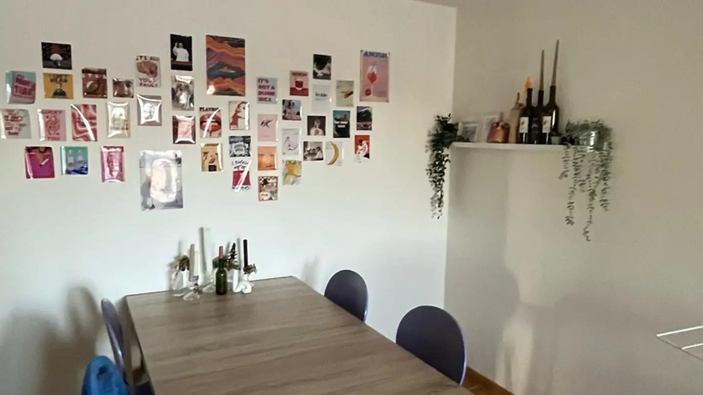 Single room for rent - 8404 Winterthur - Photo 3