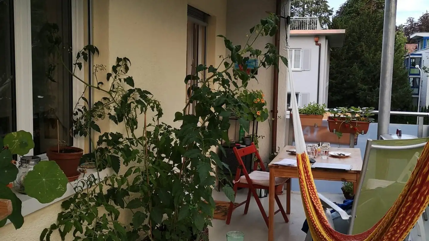 Wohnung mieten - Bachstrasse 89, 5000 Aarau - Foto 2