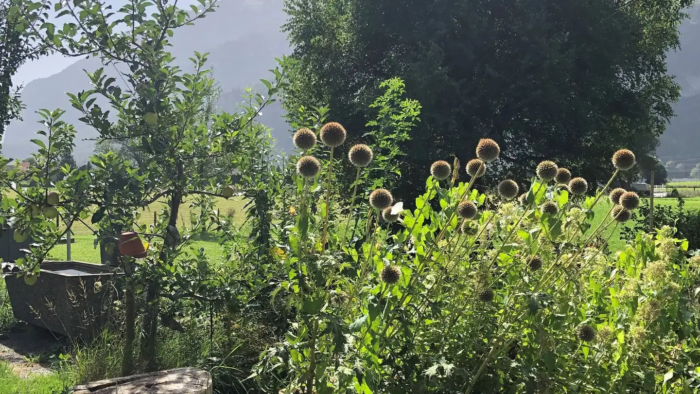 Casa singola in vendita - 3860 Meiringen - Photo 4