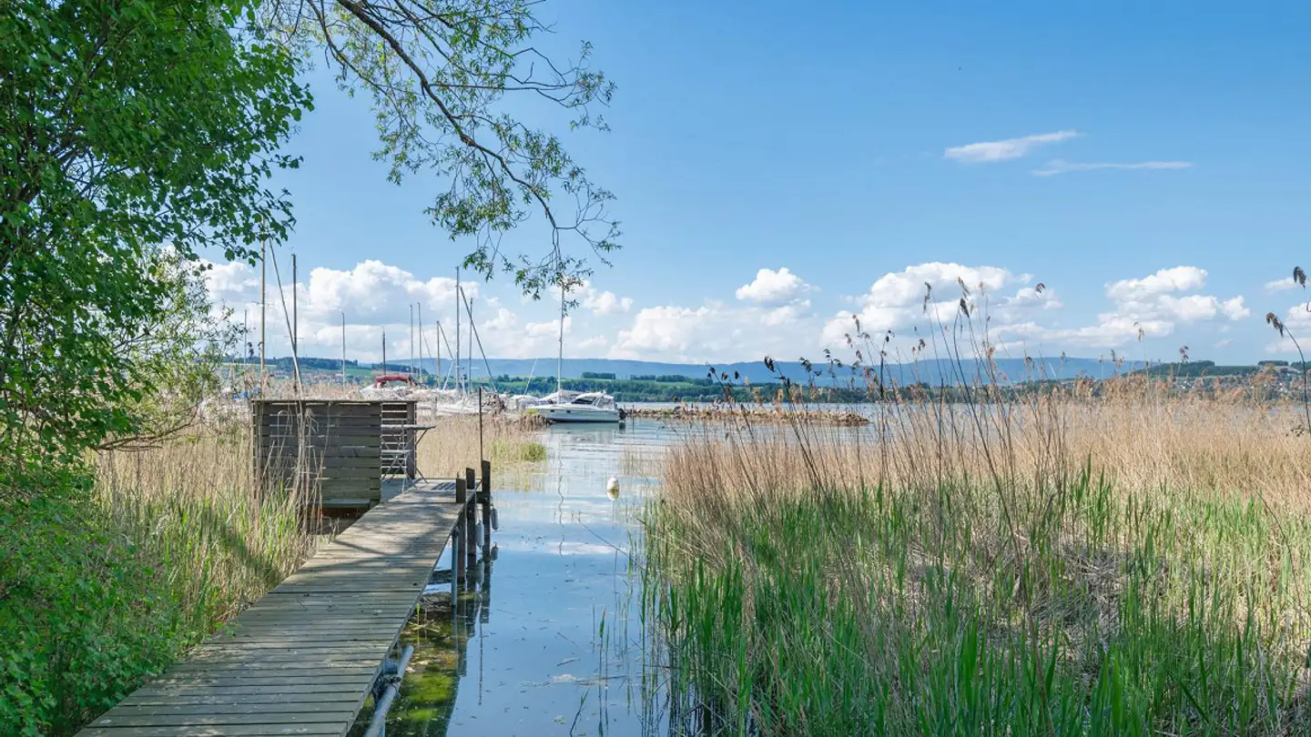 Casa singola in vendita - Impasse Du Nouveau Port 1, 1595 Faoug - Photo 2