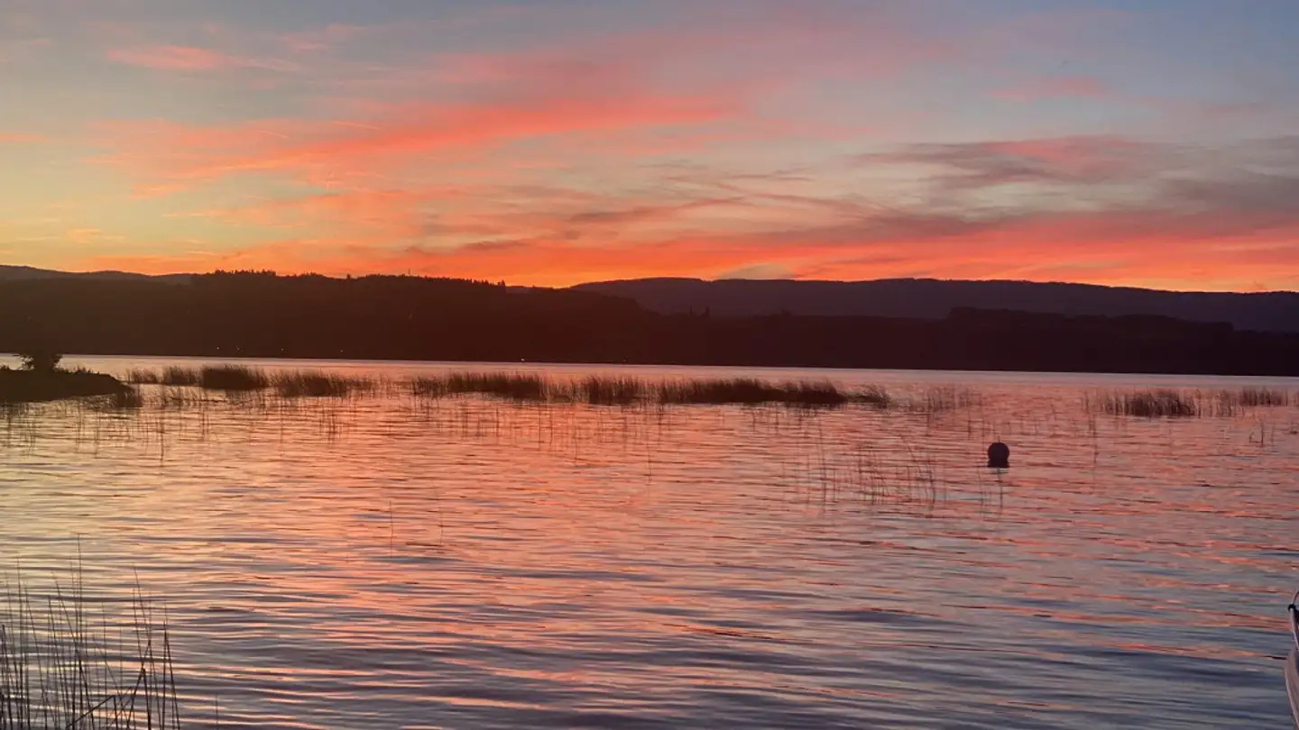 Casa singola in vendita - Impasse Du Nouveau Port 1, 1595 Faoug - Photo 3