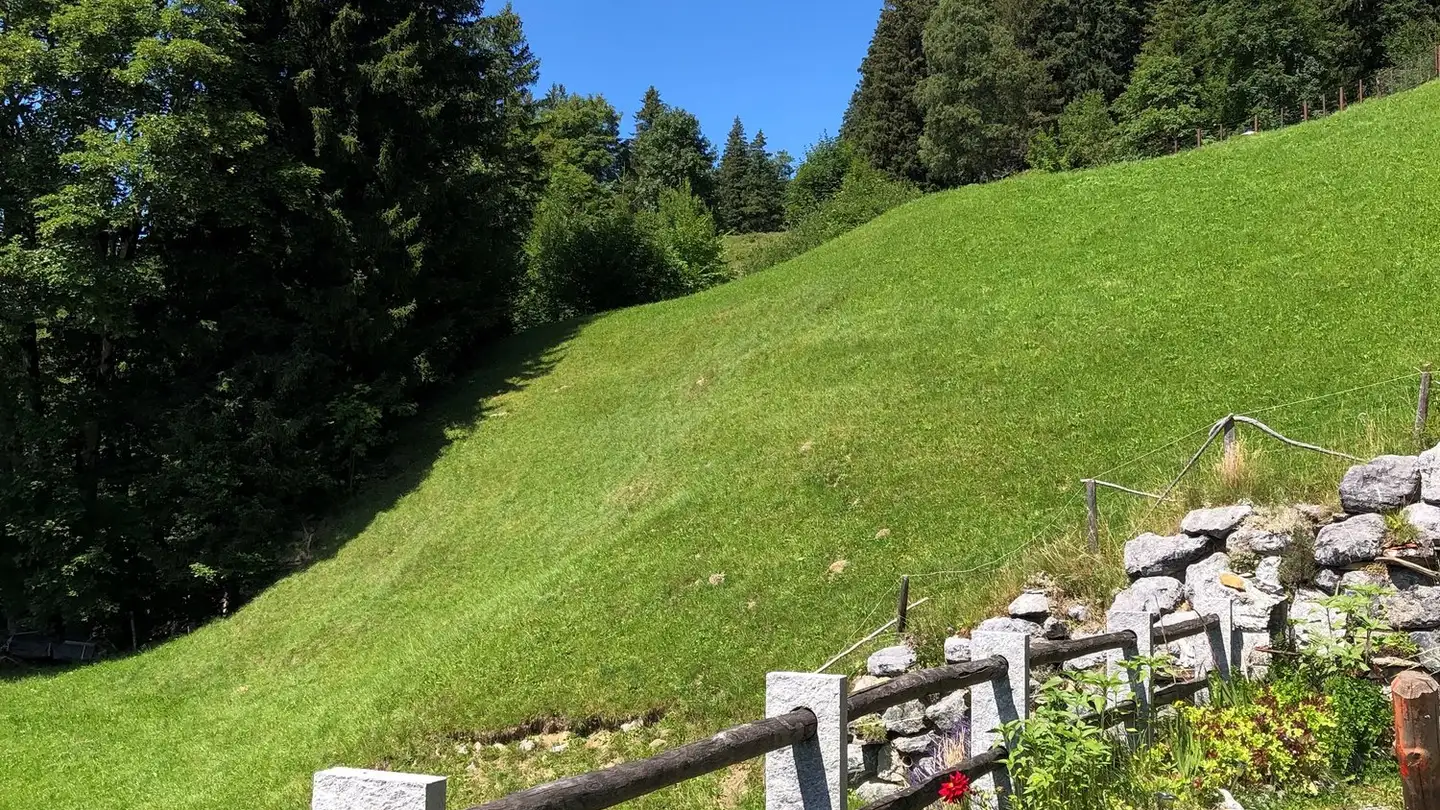 Casa singola in vendita - 6086 Hasliberg Reuti - Photo 4