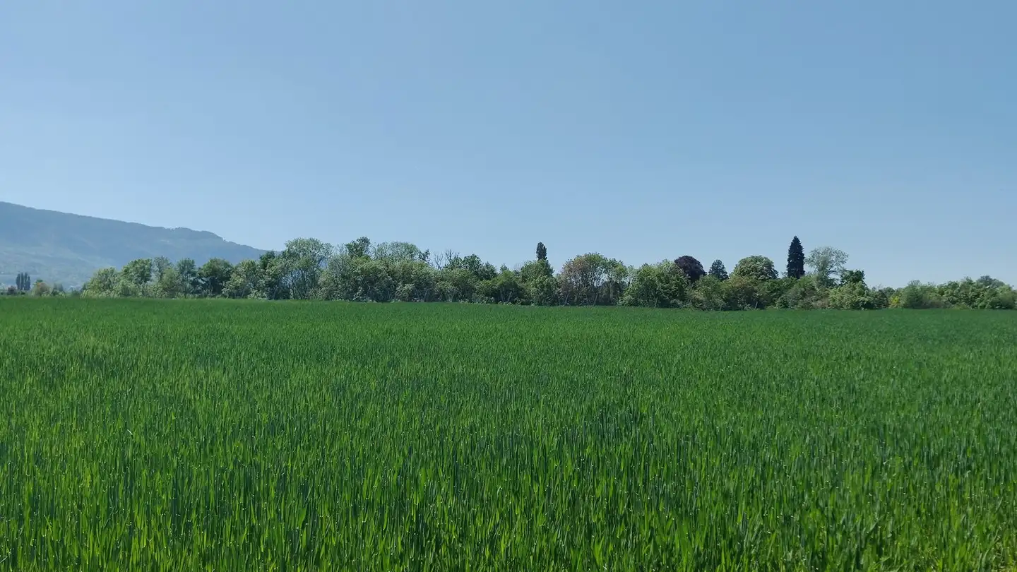 Casa singola in vendita - 1212 Grand-Lancy