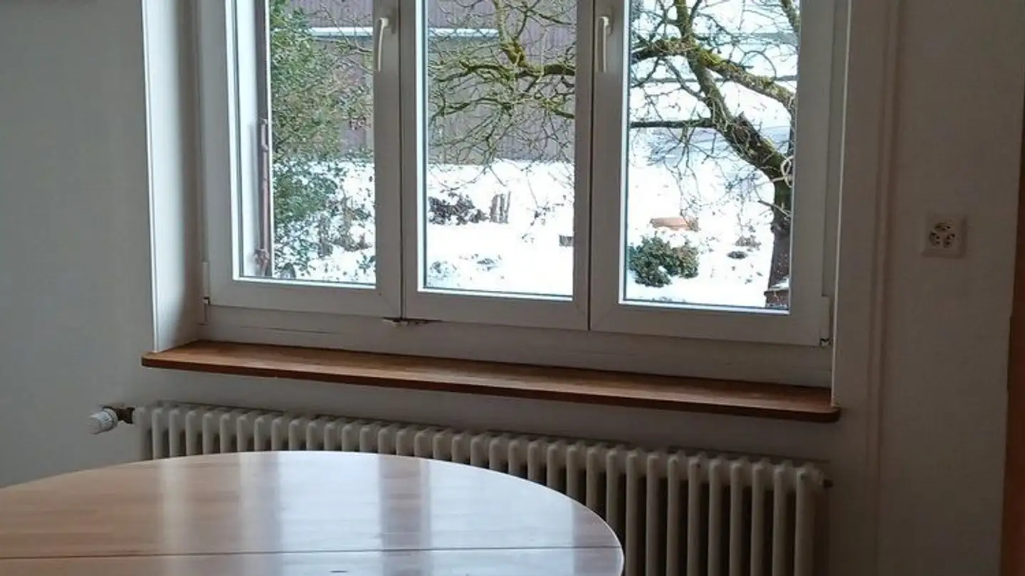 Appartamento in affitto - Tösstalstrasse 1, 8488 Turbenthal - Foto 3