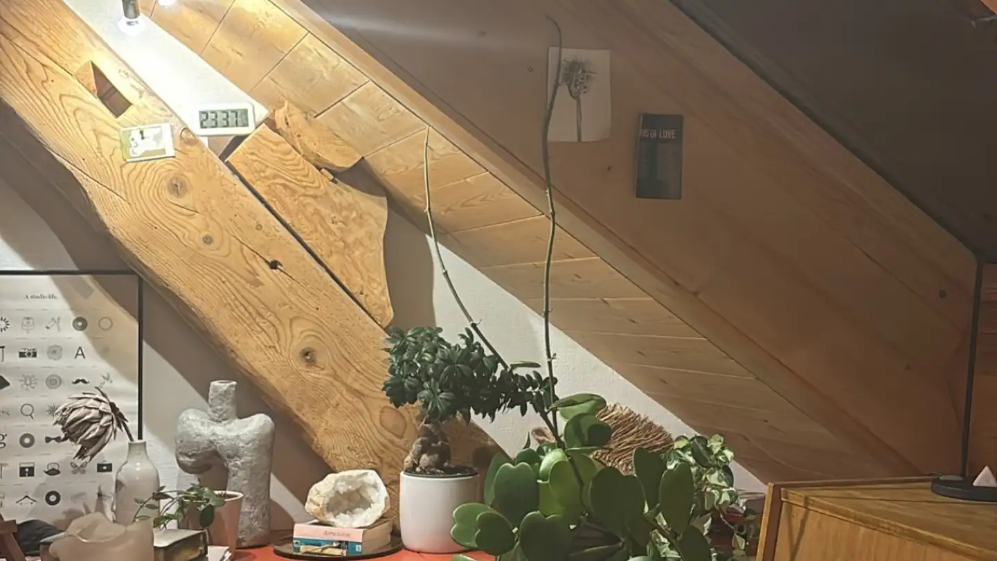 Appartement à louer - Chemin De L'ancienne Pension 2, 1091 Grandvaux