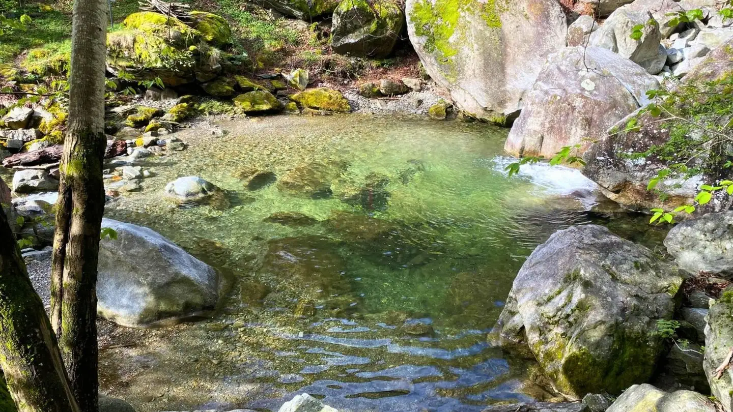 Constructible plot for sale - in Selva, 6745 Giornico - Photo 4